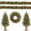 5-Piece Pre-Lit Frosted Berry Artificial Christmas Entrance Trees, Garland & Wreath -Christmas Designers Store D206300S 1