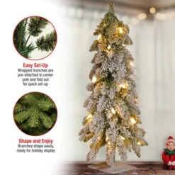 2ft. Pre-Lit Snowy Downswept Forestree With Metal Plate, Clear Lights 13 2ft. Pre-Lit Snowy Downswept Forestree With Metal Plate, Clear Lights -Christmas Designers Store D206324S 15