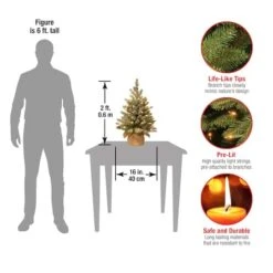 2ft. Snowy Concolor Fir Small Artificial Christmas Tree In Burlap With Snowy Cones, Warm White LED Lights 11 2ft. Snowy Concolor Fir Small Artificial Christmas Tree In Burlap With Snowy Cones, Warm White LED Lights -Christmas Designers Store D206344S 4