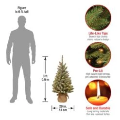 3ft. Snowy Concolor Fir With Snowy Pinecones Artificial Christmas Tree In Burlap Base, Warm White LED Lights 11 3ft. Snowy Concolor Fir With Snowy Pinecones Artificial Christmas Tree In Burlap Base, Warm White LED Lights -Christmas Designers Store D206345S 4