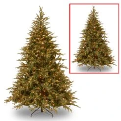 6ft. Pre-Lit Frasier Grande Artificial Christmas Tree, Dual Color® LED Lights