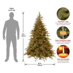 6ft. Pre-Lit Frasier Grande Artificial Christmas Tree, Dual Color® LED Lights -Christmas Designers Store D228451S 15