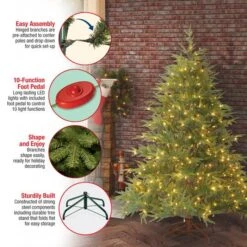 6ft. Pre-Lit Frasier Grande Artificial Christmas Tree, Dual Color® LED Lights -Christmas Designers Store D228451S 16