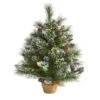 2ft. Pre-Lit Frosted Pine Artificial Christmas Tree With Pinecones, Clear LED Lights 1 2ft. Pre-Lit Frosted Pine Artificial Christmas Tree With Pinecones, Clear LED Lights -Christmas Designers Store D251265S 1
