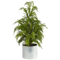 20" Unlit Cedar Pine Artificial Potted Christmas Tree