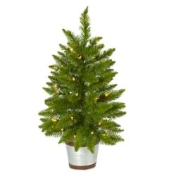 2ft. Pre-Lit Providence Pine Artificial Christmas Tree, Warm White Lights 9 2ft. Pre-Lit Providence Pine Artificial Christmas Tree, Warm White Lights -Christmas Designers Store D251301S 1 1