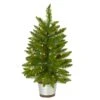 2ft. Pre-Lit Providence Pine Artificial Christmas Tree, Warm White Lights 2 2ft. Pre-Lit Providence Pine Artificial Christmas Tree, Warm White Lights -Christmas Designers Store D251301S 1