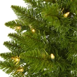 2ft. Pre-Lit Providence Pine Artificial Christmas Tree, Warm White Lights 11 2ft. Pre-Lit Providence Pine Artificial Christmas Tree, Warm White Lights -Christmas Designers Store D251301S 3