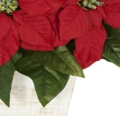 16.5" Potted Poinsettia In White Washed Planter -Christmas Designers Store D252168S 13