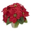 13" Potted Poinsettia With Ceramic Vase 2 13" Potted Poinsettia With Ceramic Vase -Christmas Designers Store D252178S 11