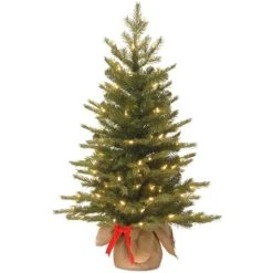 3ft. Pre-Lit Nordic Spruce® Artificial Christmas Tree, Warm White LED Lights