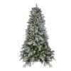 Northlight 6.5ft. Pre-Lit Mixed Rose Mary Emerald Angel Pine Artificial Christmas Tree, Clear LED Lights 2 Northlight 6.5ft. Pre-Lit Mixed Rose Mary Emerald Angel Pine Artificial Christmas Tree, Clear LED Lights -Christmas Designers Store D253638S 1