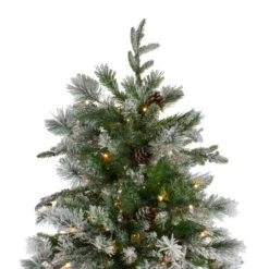 Northlight 6.5ft. Pre-Lit Mixed Rose Mary Emerald Angel Pine Artificial Christmas Tree, Clear LED Lights 17 Northlight 6.5ft. Pre-Lit Mixed Rose Mary Emerald Angel Pine Artificial Christmas Tree, Clear LED Lights -Christmas Designers Store D253638S 14