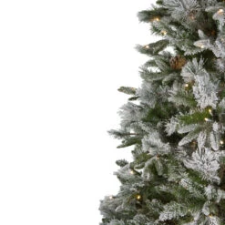 Northlight 6.5ft. Pre-Lit Mixed Rose Mary Emerald Angel Pine Artificial Christmas Tree, Clear LED Lights 18 Northlight 6.5ft. Pre-Lit Mixed Rose Mary Emerald Angel Pine Artificial Christmas Tree, Clear LED Lights -Christmas Designers Store D253638S 15
