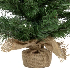 Northlight 18" Unlit Pine Artificial Christmas Tree -Christmas Designers Store D253690S 14