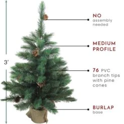 Northlight 3ft. Unlit Royal Oregon Pine Artificial Christmas Tree -Christmas Designers Store D253693S 13