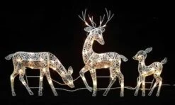 Northlight White Glittered Doe, Fawn & Reindeer Lighted Christmas Decoration 10 Northlight White Glittered Doe, Fawn & Reindeer Lighted Christmas Decoration -Christmas Designers Store D253969S 1