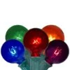 Northlight 20ct. Multicolor G40 Globe String Lights