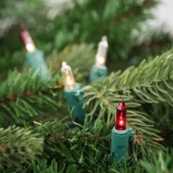 Northlight 50ct. Mini Christmas String Lights With Green Wire Red/Clear -Christmas Designers Store D254036S 12