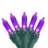 Northlight 50ct. LED Mini Christmas String Lights With Green Wire Purple 2 Northlight 50ct. LED Mini Christmas String Lights With Green Wire Purple -Christmas Designers Store D254052S 1