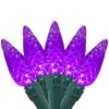 Northlight 70ct. LED Faceted C6 Christmas String Lights Purple 2 Northlight 70ct. LED Faceted C6 Christmas String Lights Purple -Christmas Designers Store D254082S 1