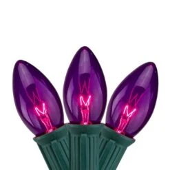 Northlight 25ct. C9 Christmas String Lights With Green Wire Purple