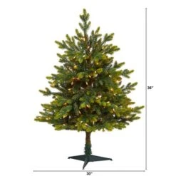 3ft. Pre-Lit North Carolina Fir Artificial Christmas Tree With Clear LED Lights 12 3ft. Pre-Lit North Carolina Fir Artificial Christmas Tree With Clear LED Lights -Christmas Designers Store D255810S 2