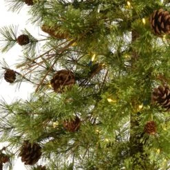 7ft. Pre-Lit Wyoming Alpine Artificial Christmas Tree, Clear LED Lights -Christmas Designers Store D255845S 3