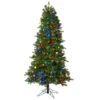 6.5ft. Pre-Lit Montana Mountain Fir Artificial Christmas Tree, Multicolor LED Lights -Christmas Designers Store D255866S 1