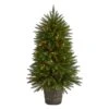 5ft. Pre-Lit Sierra Fir Artificial Potted Christmas Tree With Multicolored Lights -Christmas Designers Store D255905S 1