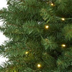 3ft. Pre-Lit Green Mountain Pine Artificial Christmas Tree, Clear LED Lights 12 3ft. Pre-Lit Green Mountain Pine Artificial Christmas Tree, Clear LED Lights -Christmas Designers Store D255921S 3