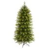 6ft. Pre-Lit Belgium Fir Artificial Christmas Tree, Clear LED Lights 2 6ft. Pre-Lit Belgium Fir Artificial Christmas Tree, Clear LED Lights -Christmas Designers Store D255965S 1