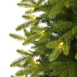 6ft. Pre-Lit Belgium Fir Artificial Christmas Tree, Clear LED Lights 13 6ft. Pre-Lit Belgium Fir Artificial Christmas Tree, Clear LED Lights -Christmas Designers Store D255965S 3