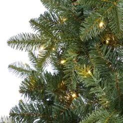 6ft. Pre-Lit Grand Teton Spruce Flat Back Artificial Christmas Tree With Clear LED Lights -Christmas Designers Store D256097S 4