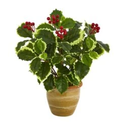 14" Variegated Holly Plant In Ceramic Planter 7 14" Variegated Holly Plant In Ceramic Planter -Christmas Designers Store D262456S 1 1