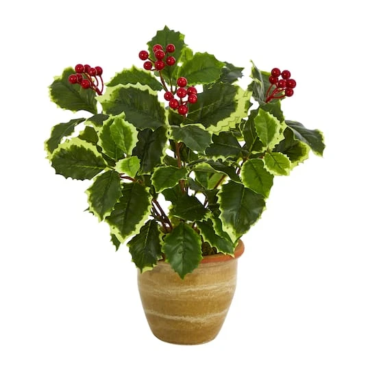 14" Variegated Holly Plant In Ceramic Planter 4 14" Variegated Holly Plant In Ceramic Planter - Image 2