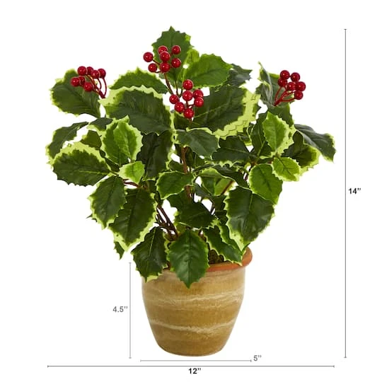 14" Variegated Holly Plant In Ceramic Planter 5 14" Variegated Holly Plant In Ceramic Planter - Image 3