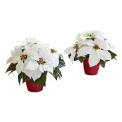 12" Potted White Poinsettia Set