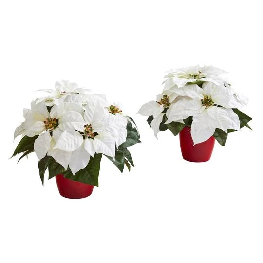 12" Potted White Poinsettia Set 3 12" Potted White Poinsettia Set