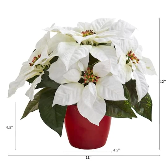 12" Potted White Poinsettia Set 5 12" Potted White Poinsettia Set - Image 3