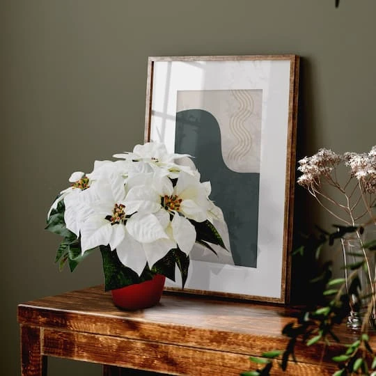 12" Potted White Poinsettia Set 7 12" Potted White Poinsettia Set - Image 5