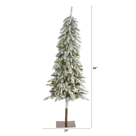 5.5ft. Pre-Lit Flocked Washington Alpine Artificial Christmas Tree, Warm White LED Lights 5 5.5ft. Pre-Lit Flocked Washington Alpine Artificial Christmas Tree, Warm White LED Lights - Image 3
