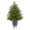 3.5ft. Pre-Lit North Carolina Fir Artificial Christmas Tree In Gray Planter With Stand, Clear Lights 2 3.5ft. Pre-Lit North Carolina Fir Artificial Christmas Tree In Gray Planter With Stand, Clear Lights -Christmas Designers Store D322712S 1