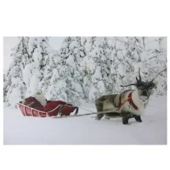 Northlight Fiber Optic Lighted Santa In His Sleigh Canvas Wall Art