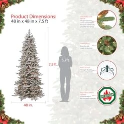 7.5ft. Pre-Lit Slim Flocked Royal Majestic Douglas Spruce Artificial Christmas Tree, Clear Lights -Christmas Designers Store D393478S 5
