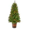 5ft. Pre-Lit Colorado Aspen Artificial Christmas Tree In Decorative Planter, White LED Lights -Christmas Designers Store D478829S 1
