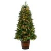 5ft. Pre-Lit Frosted Colorado Aspen Artificial Christmas Tree In Decorative Planter, White LED Lights