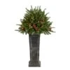 4ft. Pre-Lit Glittered Artificial Christmas Plant On Pedestal, Multicolor LED Lights -Christmas Designers Store D478834S 1