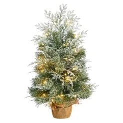 2ft. Pre-Lit Winter Frosted Artificial Christmas Tree In Burlap Base, Warm White LED Lights