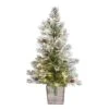 2ft. Pre-Lit Frosted Artificial Christmas Tree In Decorative Planter, Clear Lights -Christmas Designers Store D478947S 1